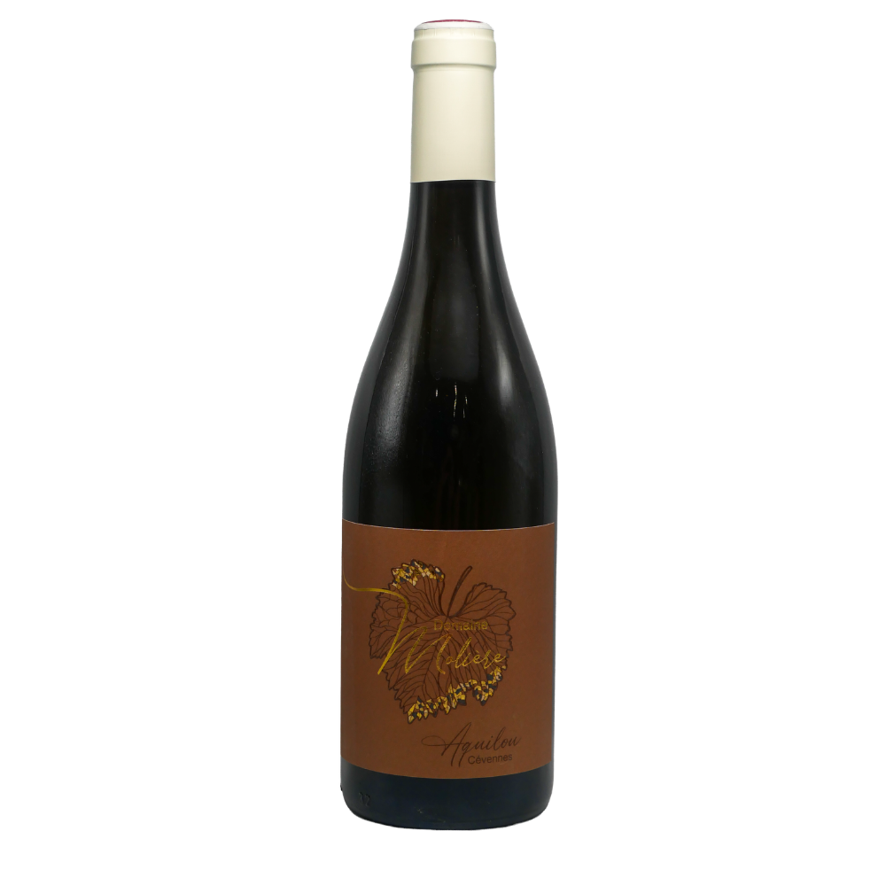 domaine-moliere-aquilou-blanc-sueno Domaine Molière - Aquilou – Image 1