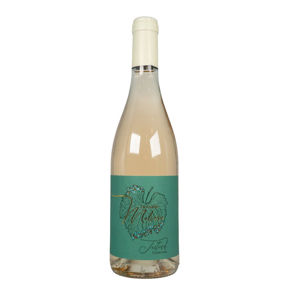 domaine-moliere-testard-rose-sueno Domaine Molière - Testard – Image 1