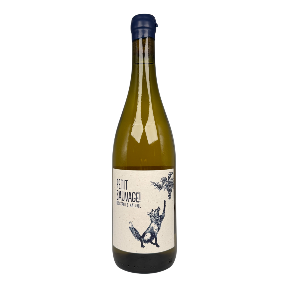 domaine-pierre-et-antonin-petit-sauvage-blanc-sueno Pierre & Antonin - Petit Sauvage ! – Image 1