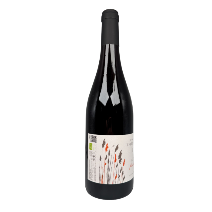 Domaine Terre de Sables - Nuits Fauves – Image 2