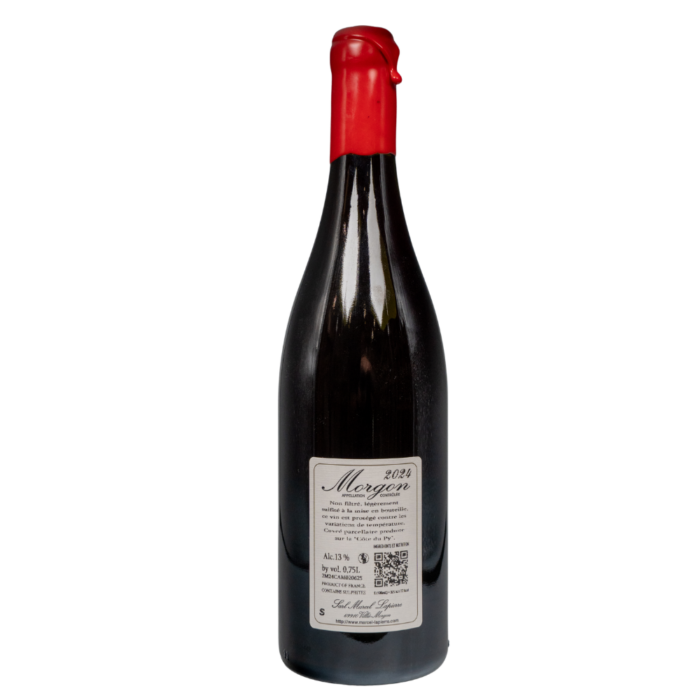 Cuvée Camille 2024 Marcel Lapierre – Image 2