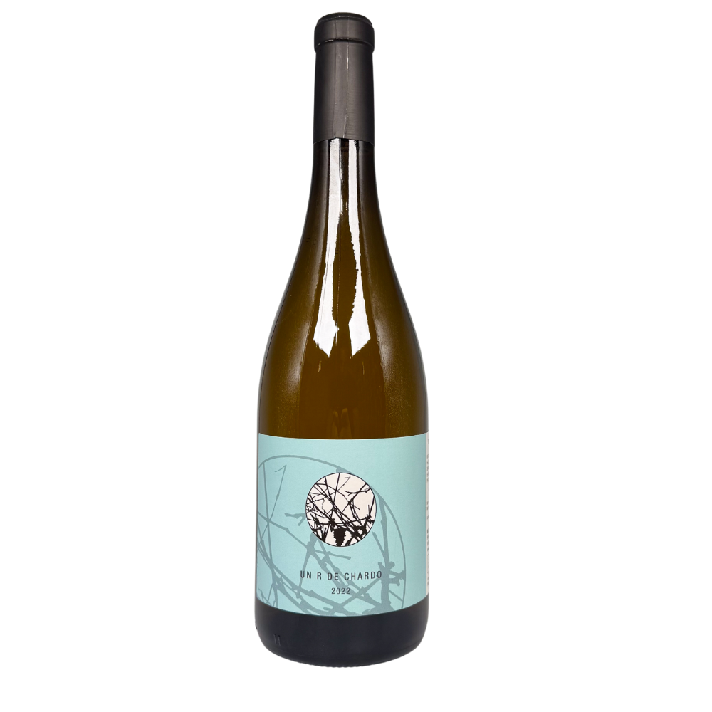 clos-de-la-barthassade-r-charodnnay-blanc-sueno Clos de la Barthassade Un R de Chardo – Image 1