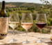 Quel vin boire quand il fait chaud : blanc, rosé et rouge frais