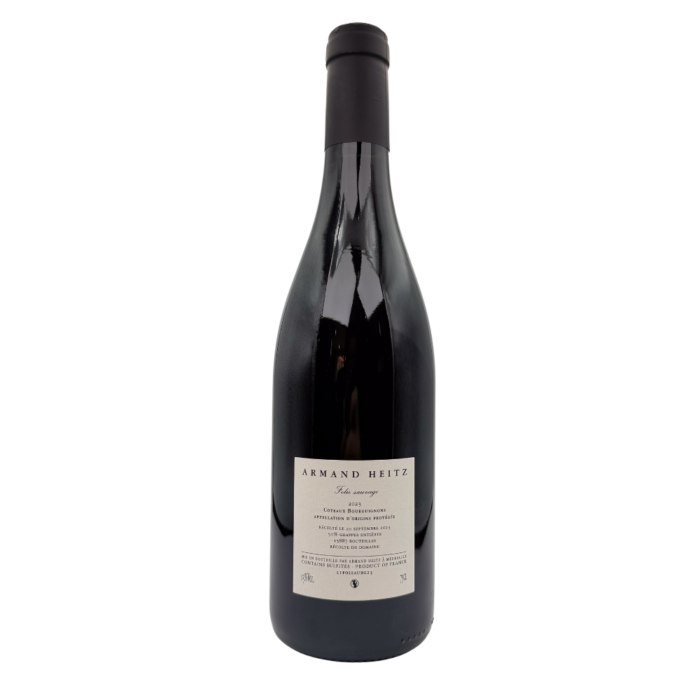 Armand Heitz - Folie Sauvage – Image 2