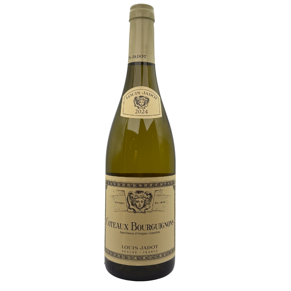 louis-jadot-coteaux-bourguignons-blanc-sueno (2) Louis Jadot - Coteaux Bourguignons blanc – Image 1